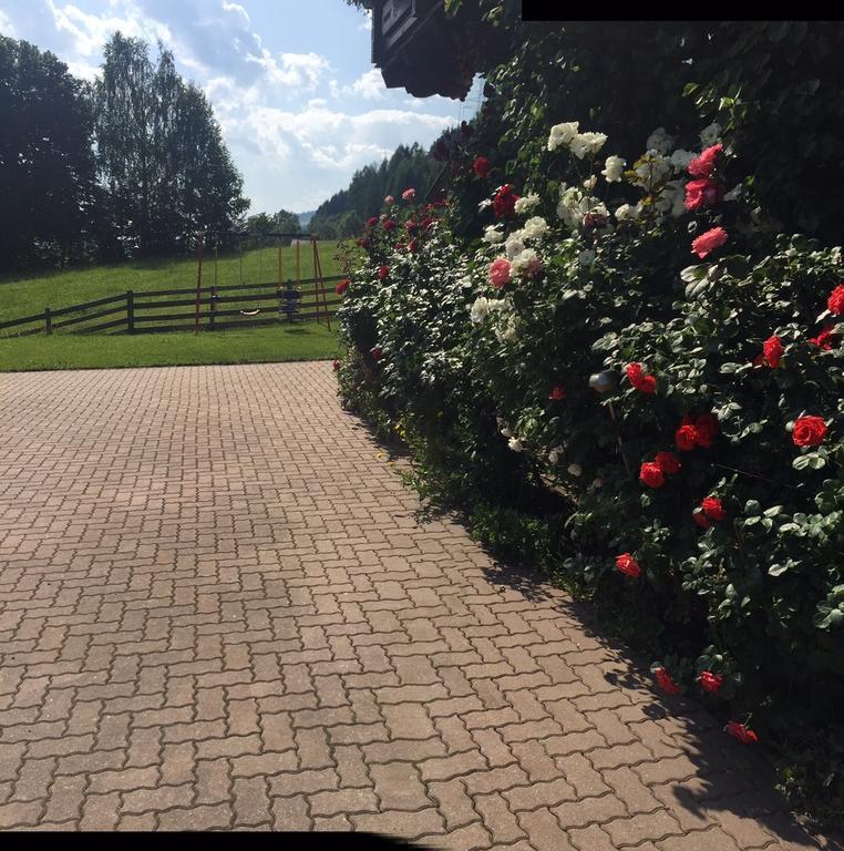 Haus Katharina Hotel Wagrain Bagian luar foto