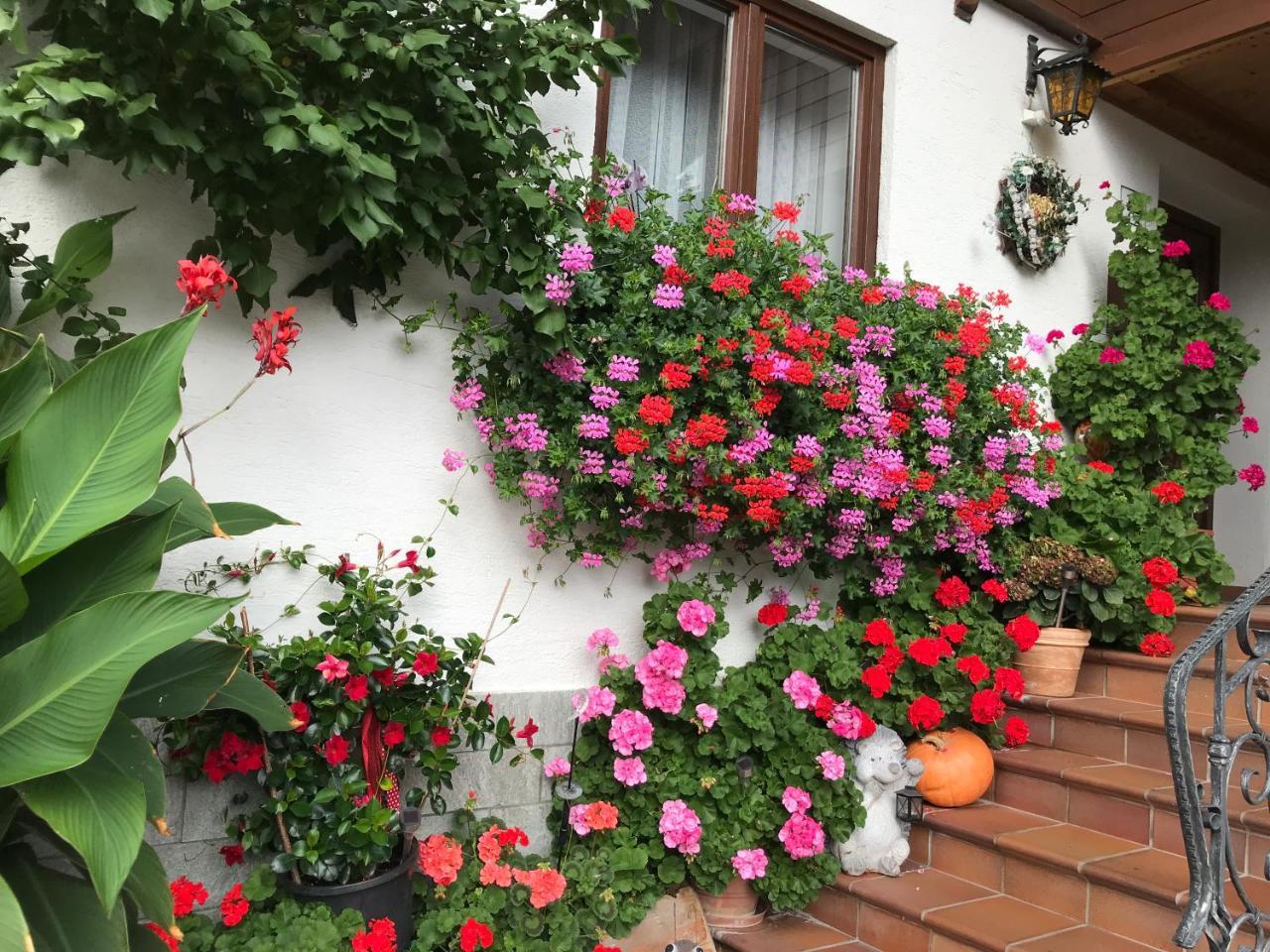 Haus Katharina Hotel Wagrain Bagian luar foto